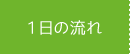 1日の流れ