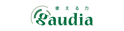 使える力gaudia ガウディア