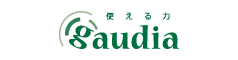 使える力gaudia ガウディア